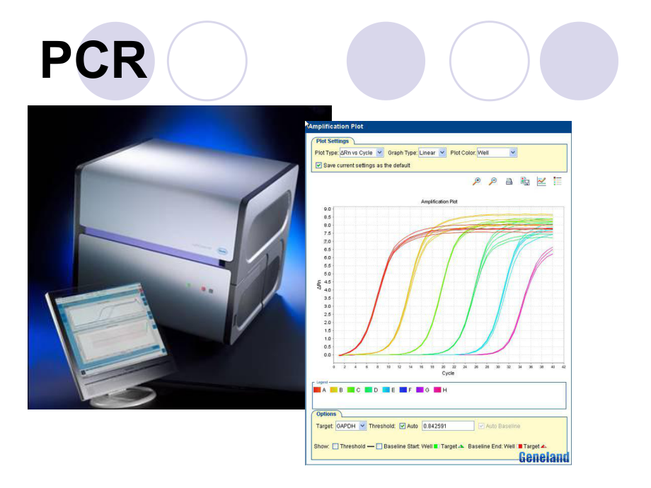 基因诊断、PCR等介绍解析课件.ppt_第2页