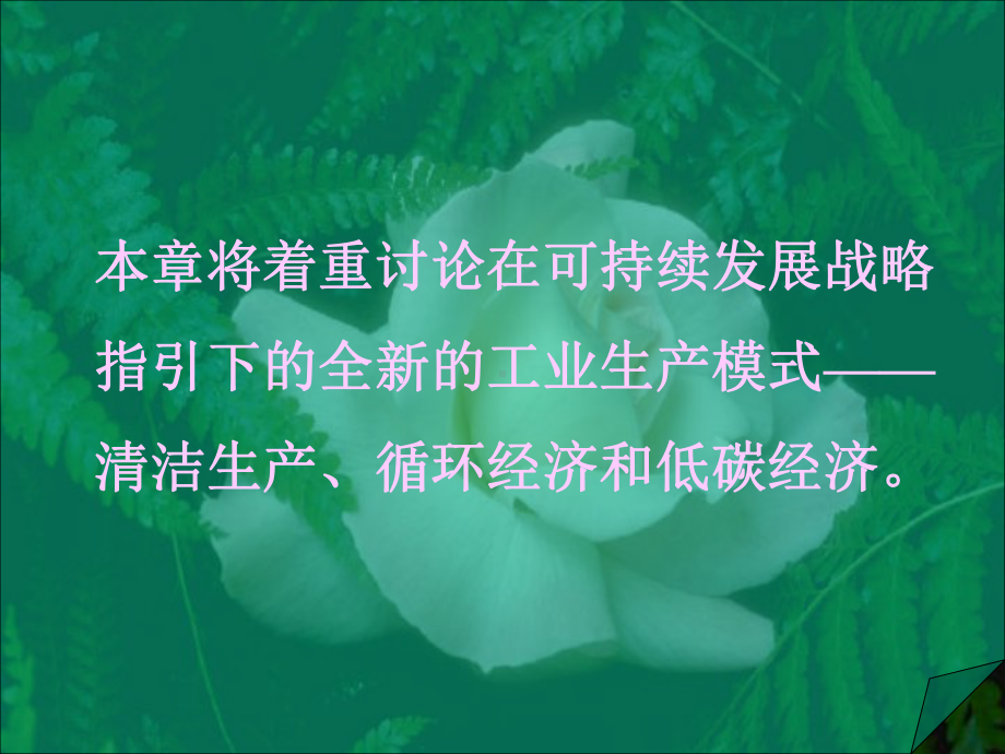 循环经济和低碳经济课件.pptx_第3页