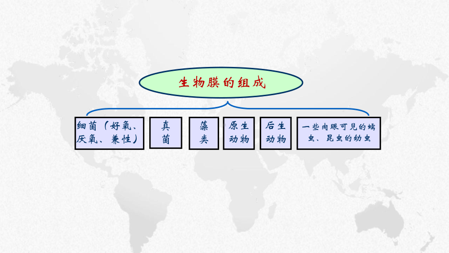 废水处理好氧生物膜法图文课件.pptx_第3页