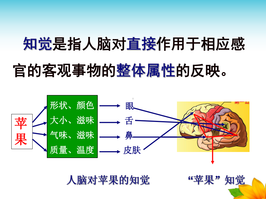 心理学1感知觉课件.pptx_第3页