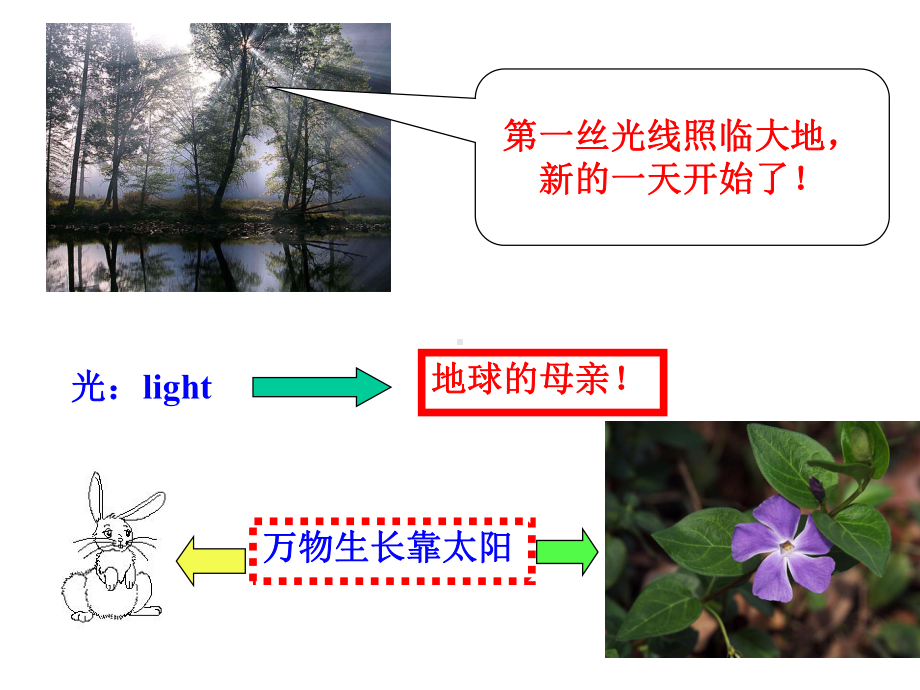 在杨氏双缝课件.pptx_第2页