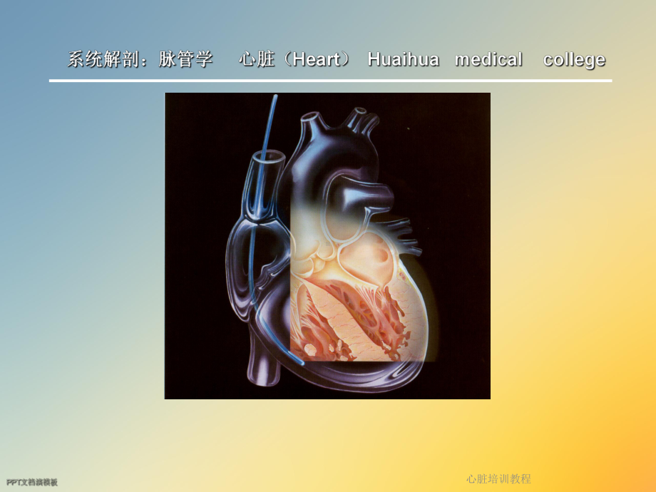 心脏培训教程课件.ppt_第2页