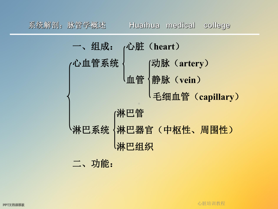 心脏培训教程课件.ppt_第3页