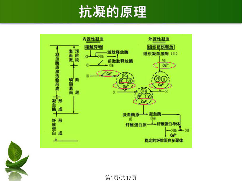 枸橼酸血液透析课件.pptx_第1页