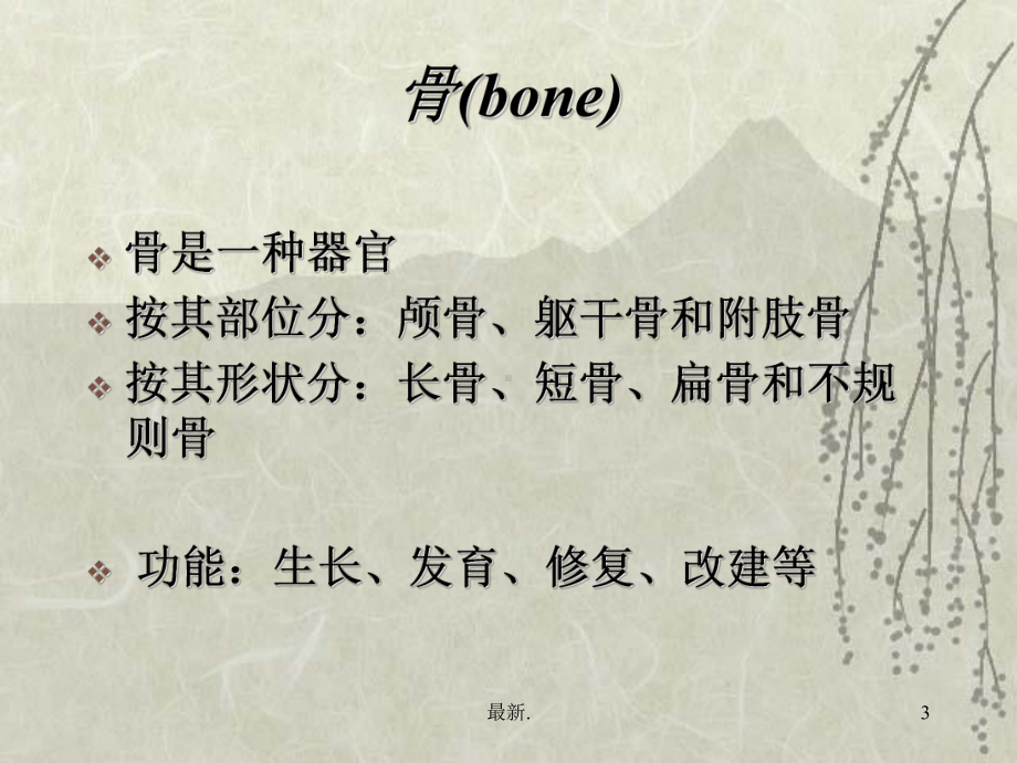 合集骨科护士课件.ppt.ppt_第3页