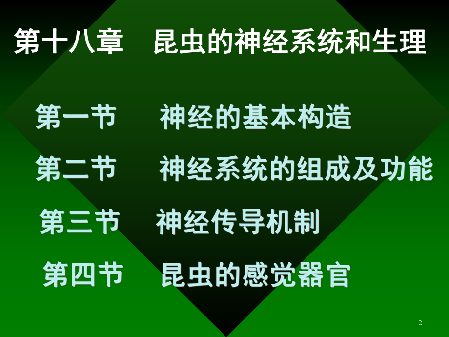 昆虫的神经系统与和生理课件.pptx_第2页