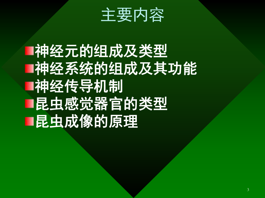 昆虫的神经系统与和生理课件.pptx_第3页