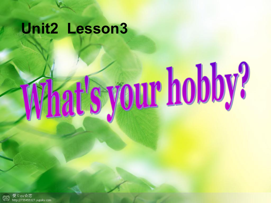 四年级英语上册Unit2Lesson3What’syourhobby课件鲁科版.ppt_第1页