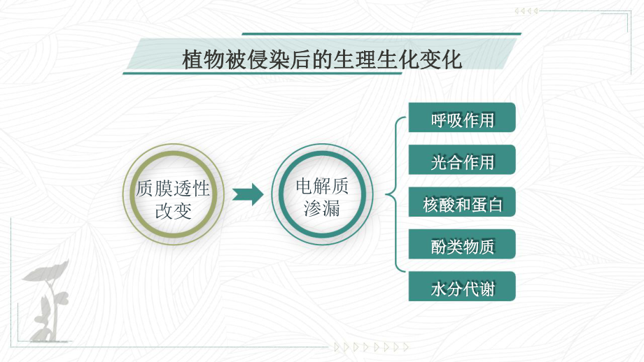 普通植物病理学--植物抗病性在病害互作用的作用-课件.pptx_第3页