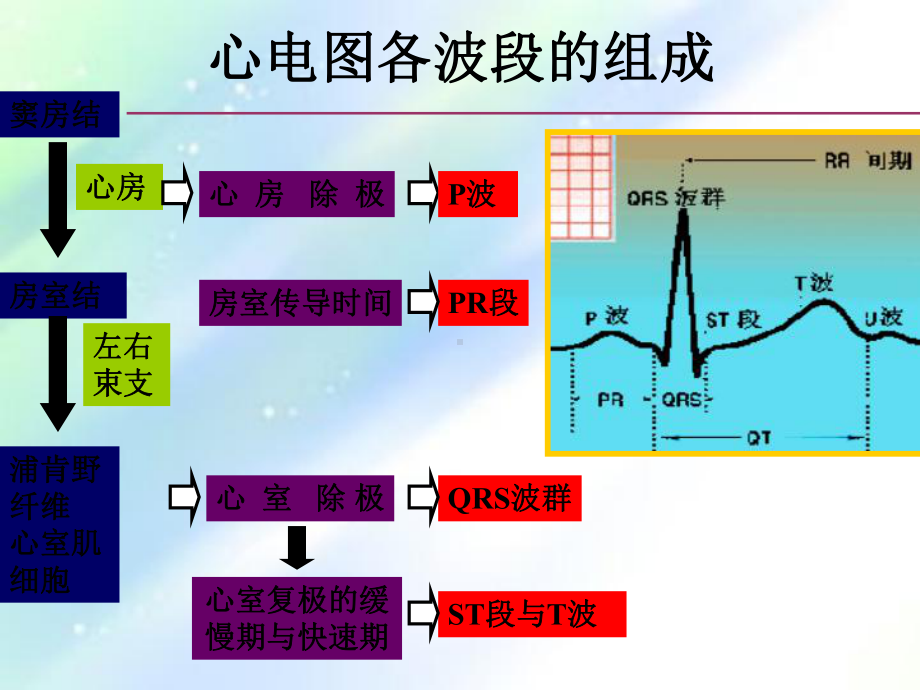 心率失常的护理ppt课件.ppt_第3页