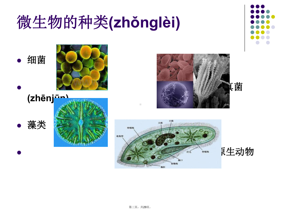 最新生活中的微生物精品课件.ppt_第3页