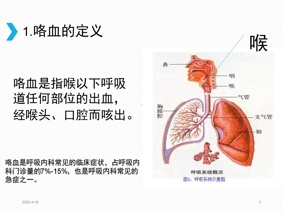 咯血的原因及对策PPT参考幻灯片课件.pptx_第3页