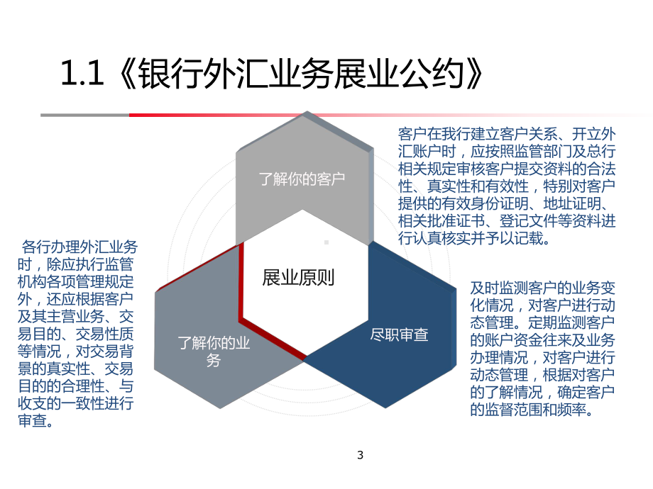 服务贸易外汇业务展业规范授课课件.ppt_第3页