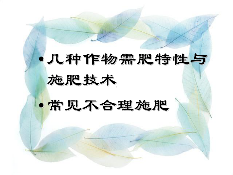 施肥培训PPT课件.ppt_第2页