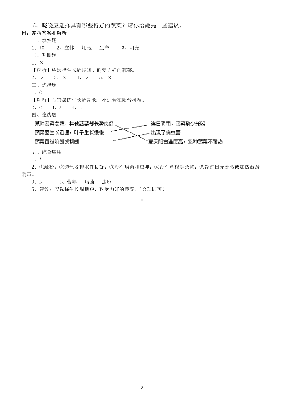 小学科学苏教版五年级下册STEM学习《立体小菜园》测试题（2022新版）（附参考答案）.docx_第2页