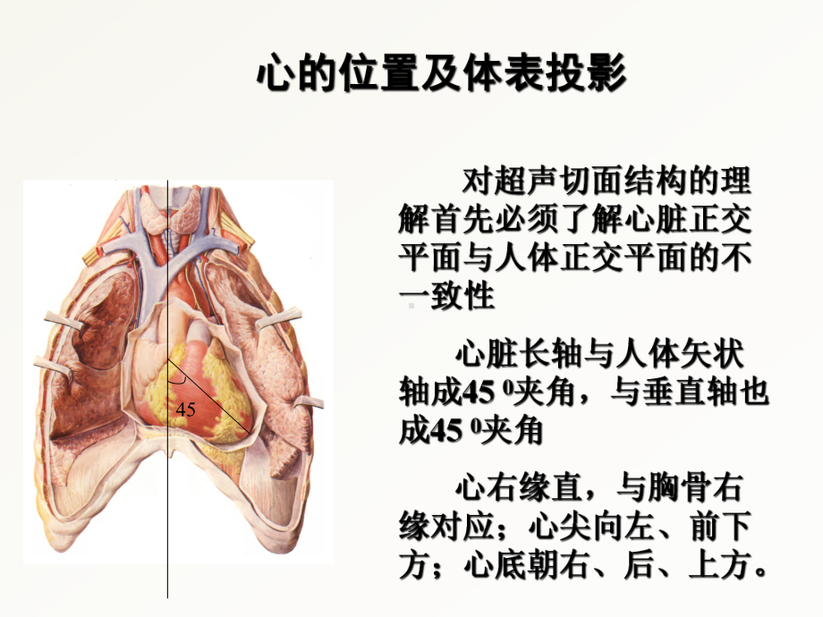 心脏超声常用切面及解剖ppt课件.ppt_第3页