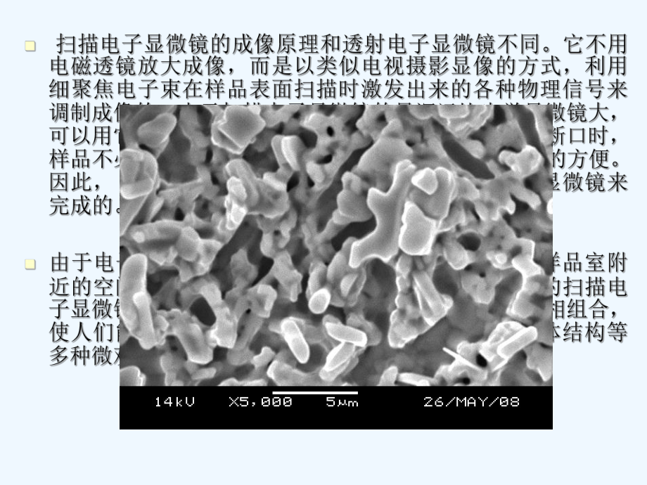 扫描电子显微分析SEM[可修改版ppt]课件.ppt_第2页