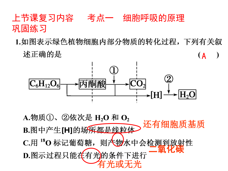 影响细胞呼吸的外界因素及其应用课件.ppt_第2页