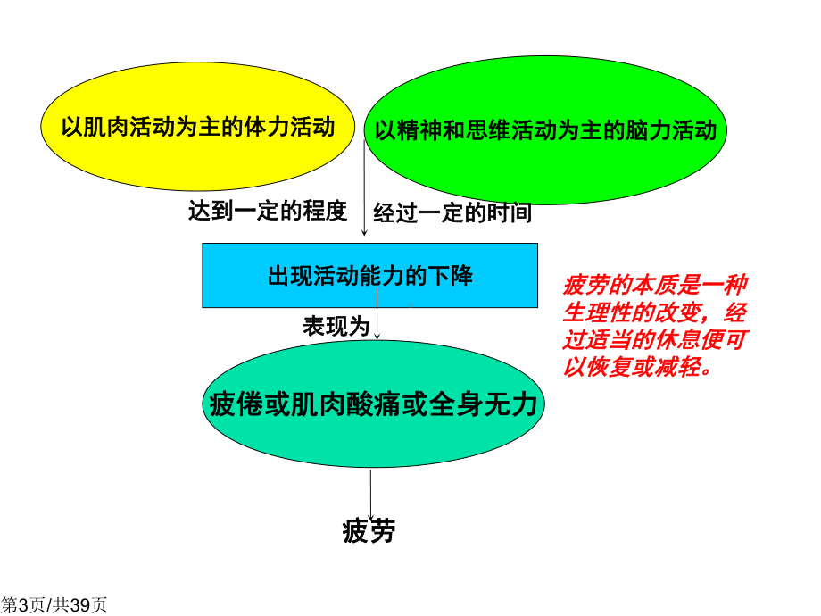 抗疲劳功能性食品课件.pptx_第3页