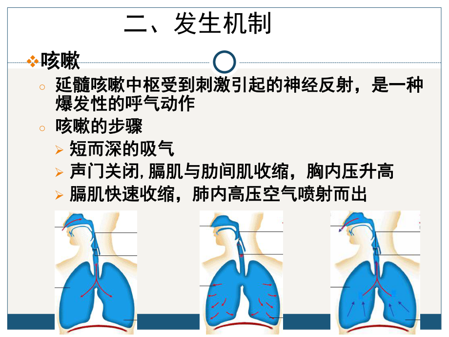 咳嗽咳痰课件1.pptx_第3页