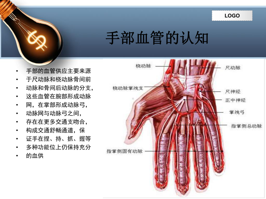 手部血管解剖及临床应用课件.ppt_第3页