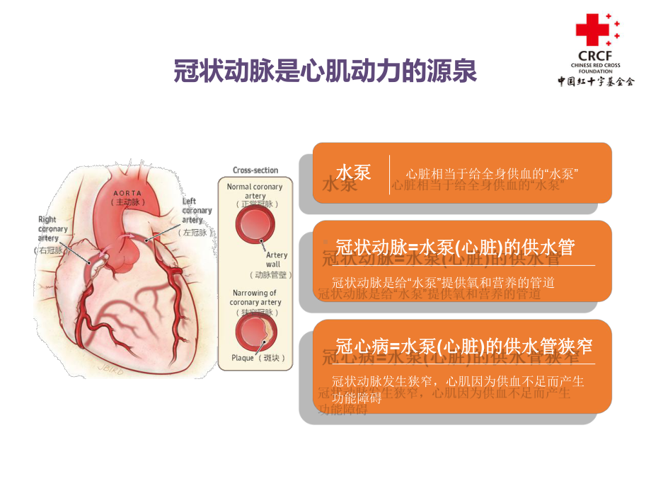 最新急性冠脉综合征患者教育主题讲座课件.ppt_第1页