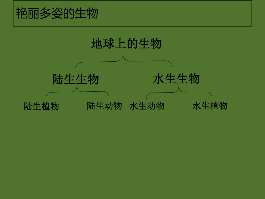 华东师大版初中科学七上艳丽多姿的生物课件.ppt_第1页