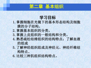 卫校基本组织解剖学基础课件.pptx