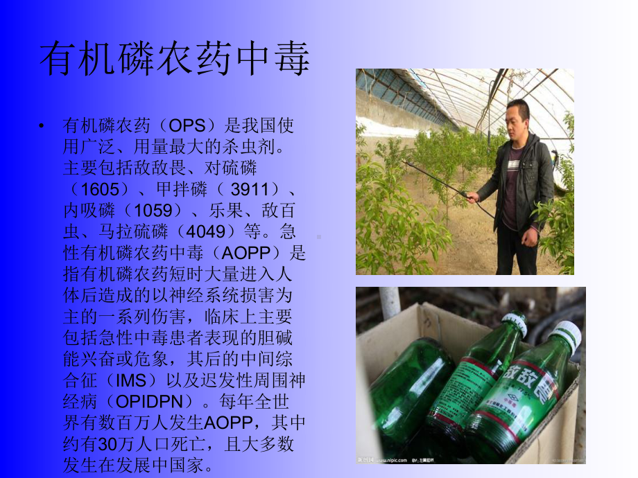 有机磷农药中毒分析课件.pptx_第2页