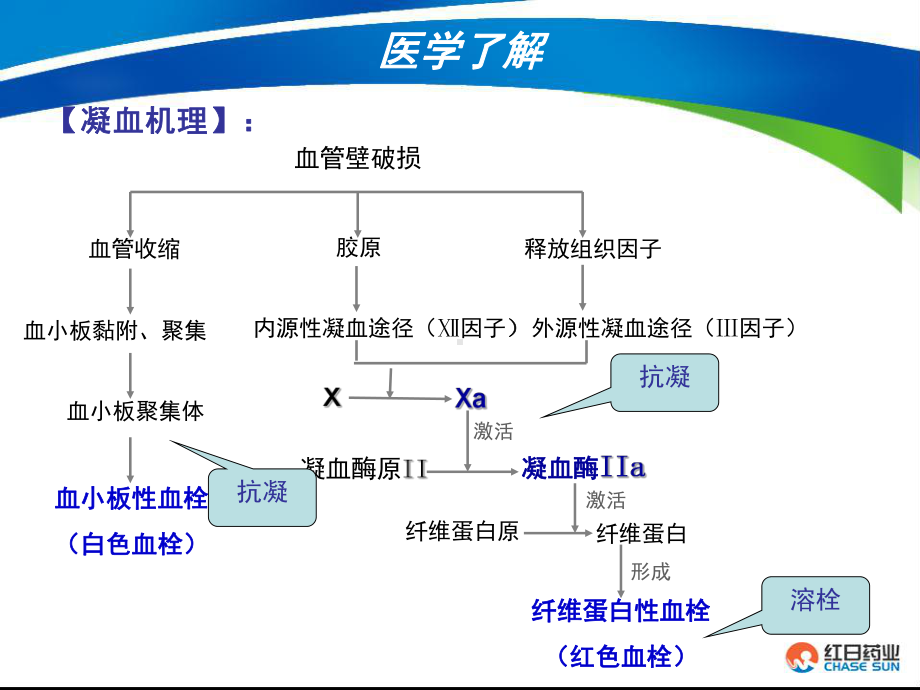 博璞青产品知识课件.pptx_第3页