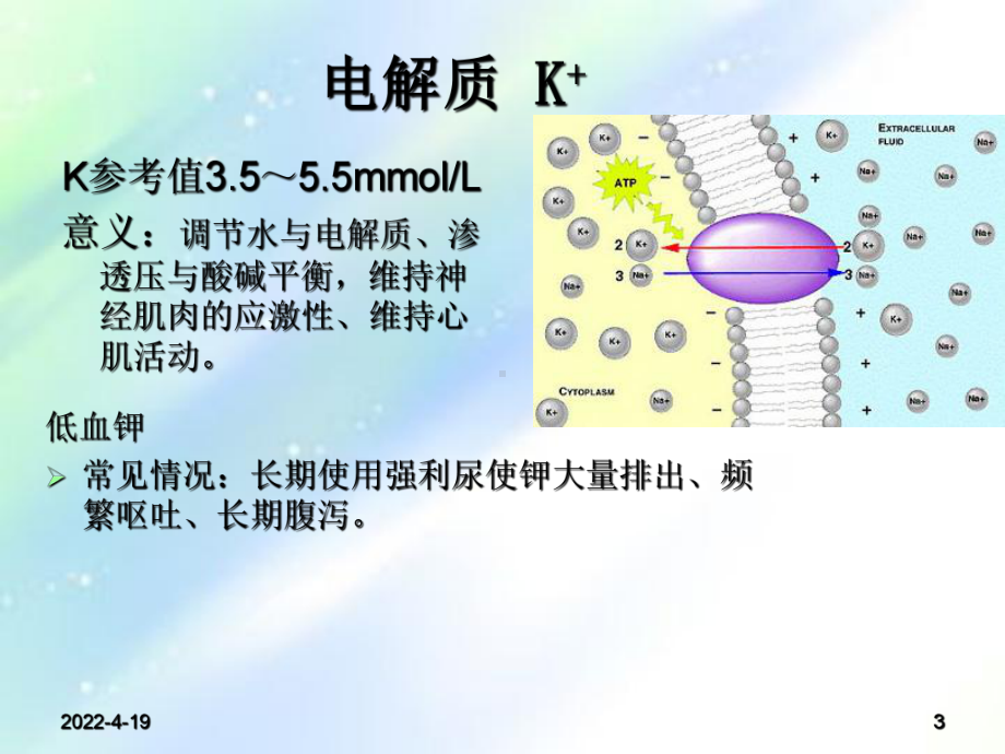 心内科常见检查及其意义-PPT课件.ppt_第3页