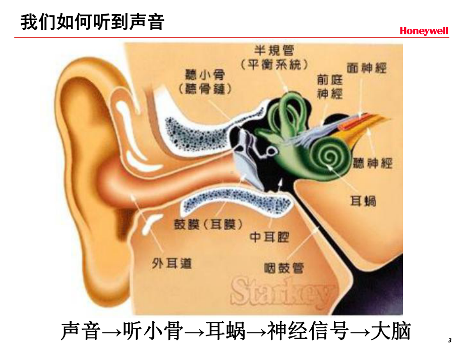 听力防护基础知识专题培训课件.ppt_第3页