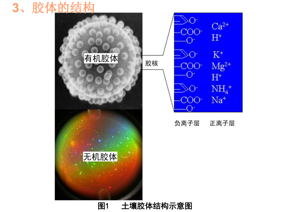 土壤物质之间的相互关系课件.pptx_第3页