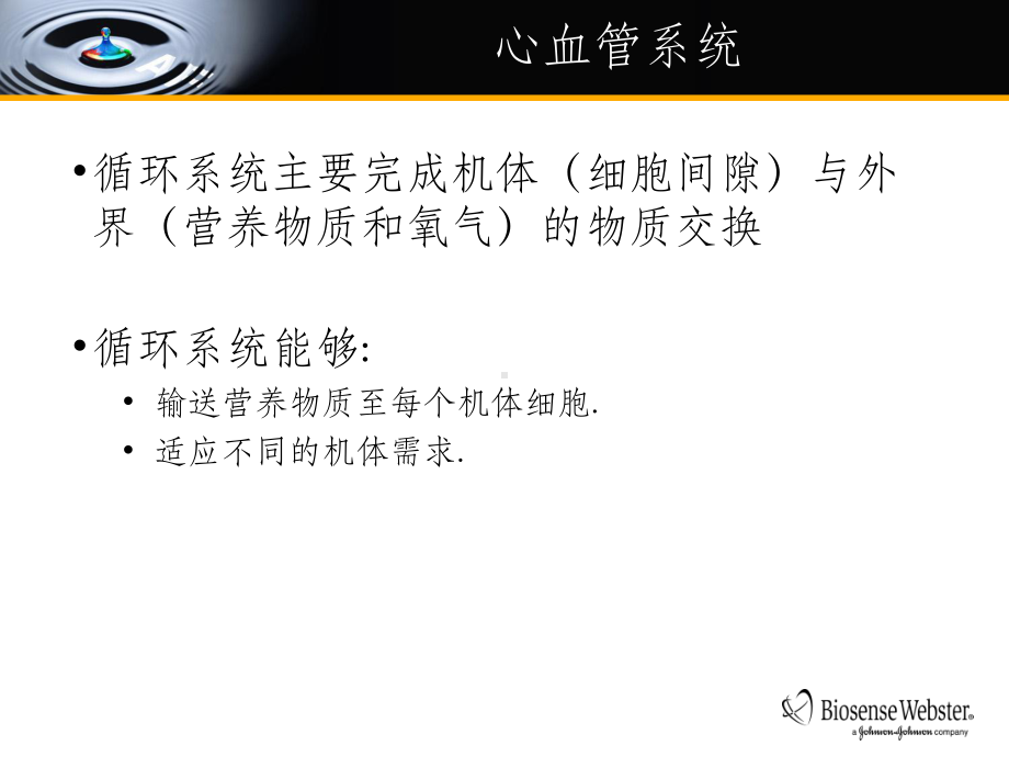 心脏解剖PPT课件.ppt_第3页