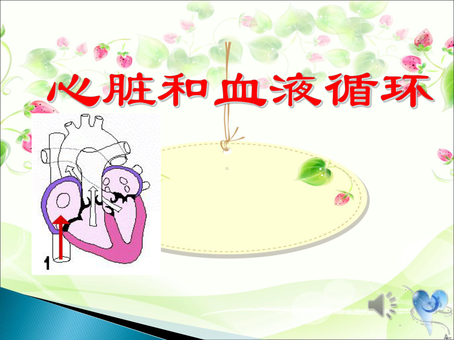 心脏和血液循环-(2)-优质课件PPT.ppt_第1页