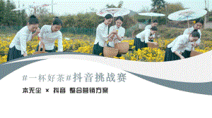 抖音挑战赛方案课件.pptx