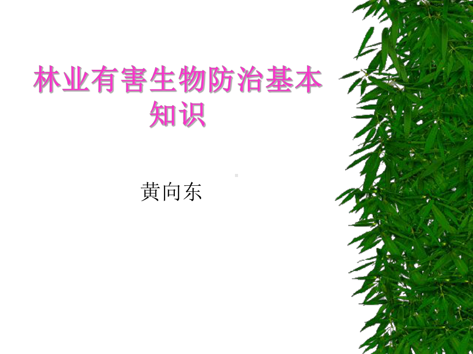 林业有害生物防治基本知识课件.pptx_第1页