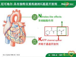 有关尼可地尔的指南推荐课件.ppt