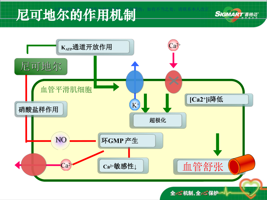 有关尼可地尔的指南推荐课件.ppt_第2页