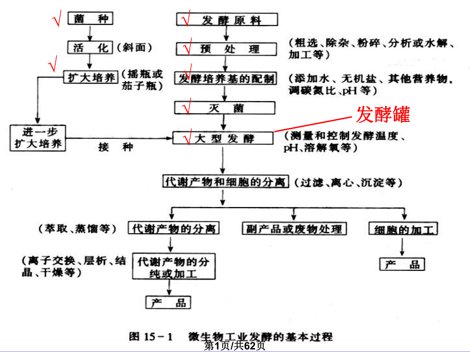 发酵罐放大与设计1课件.pptx_第1页