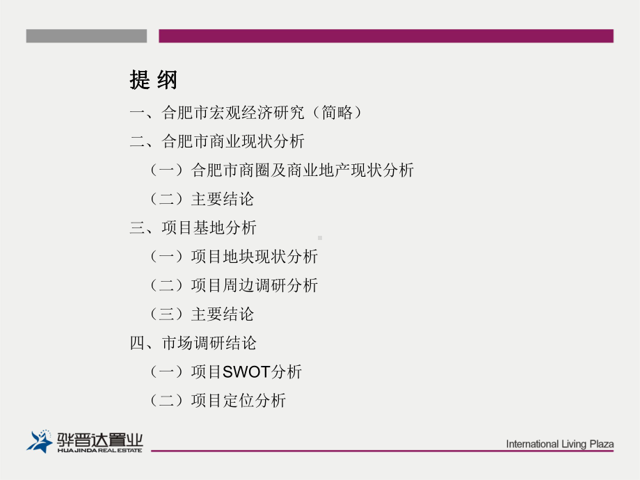 合肥某市场调研报告43页课件.pptx_第2页