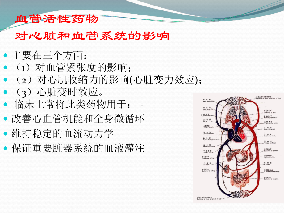 常用血管活性药物在ICU的应用课件.pptx_第3页