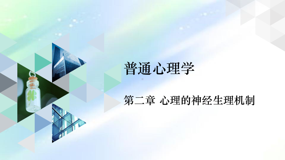 普通心理学第二章(第四版)ppt课件.ppt_第1页