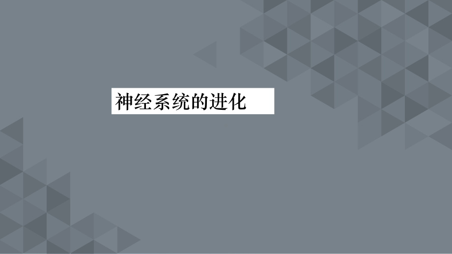 普通心理学第二章(第四版)ppt课件.ppt_第3页