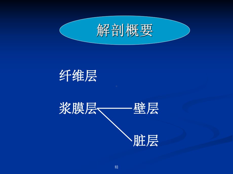 心包疾病及心脏肿瘤的超生诊断课件.ppt_第3页