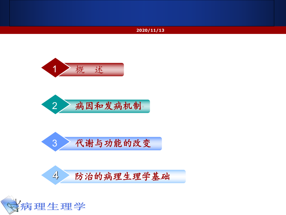 发热病理生理-ppt课件.ppt_第2页