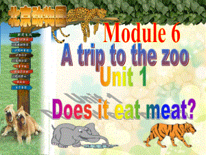 外研版初中英语七年级上册Module6-Unit1《Does-it-eat-meat-》教学课件资料.ppt