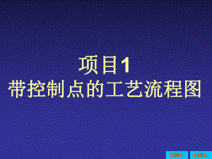 带控制点工艺流程图课件.ppt