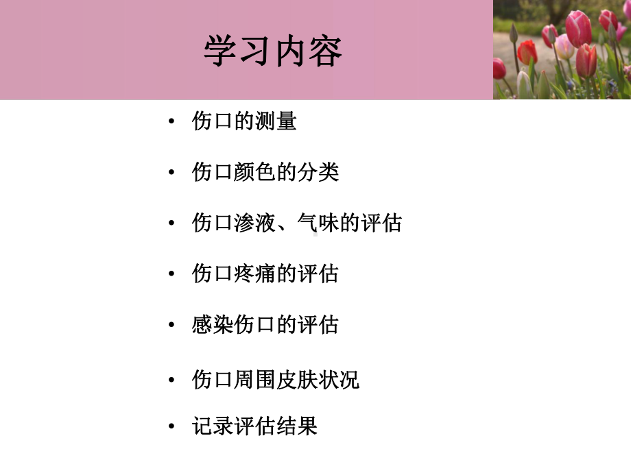 压疮的评估与记录课件.ppt_第2页