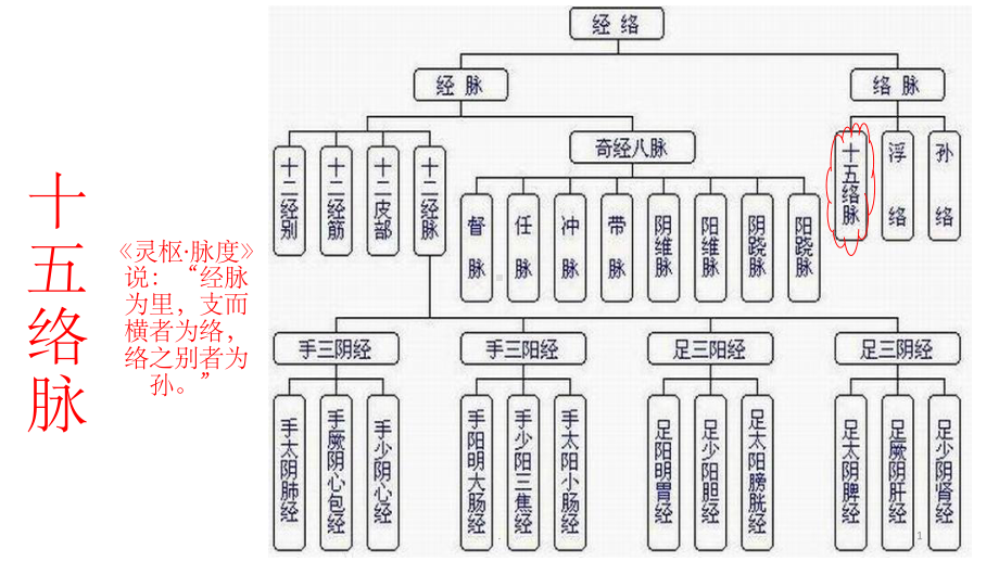 十五络脉ppt课件.pptx_第1页